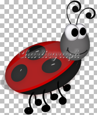 ch-ladybug5