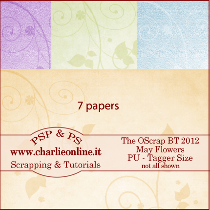 The Paper