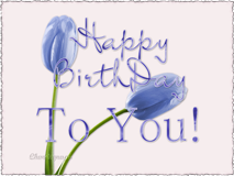 HBirthD16.png
