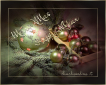 xmas2.jpg